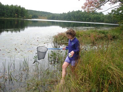 Pond Life & Habitat Exploration - Green Valley School - Montessori Learning Center