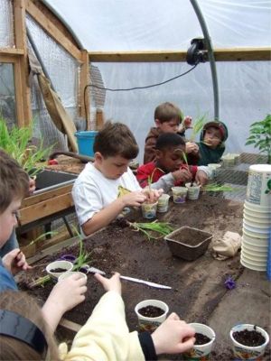 Planting in the Greenhouse at Green Valley School - Montessori Learning Center